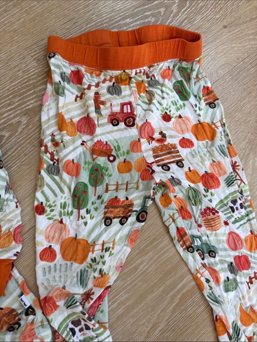 Little Sleepies Pumpkin Patch Pajamas Size 4T - Picture 3 of 4